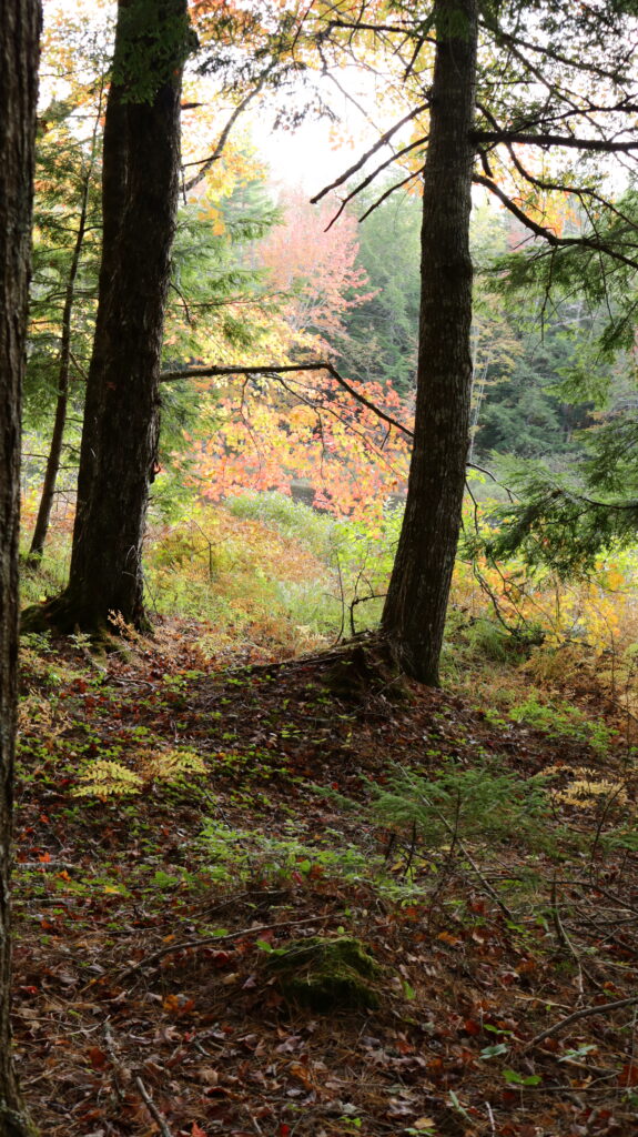 You are welcome here — exactly as you are